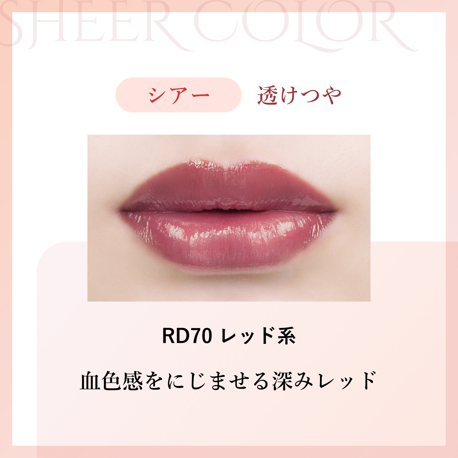 シアー RD70 レッド系