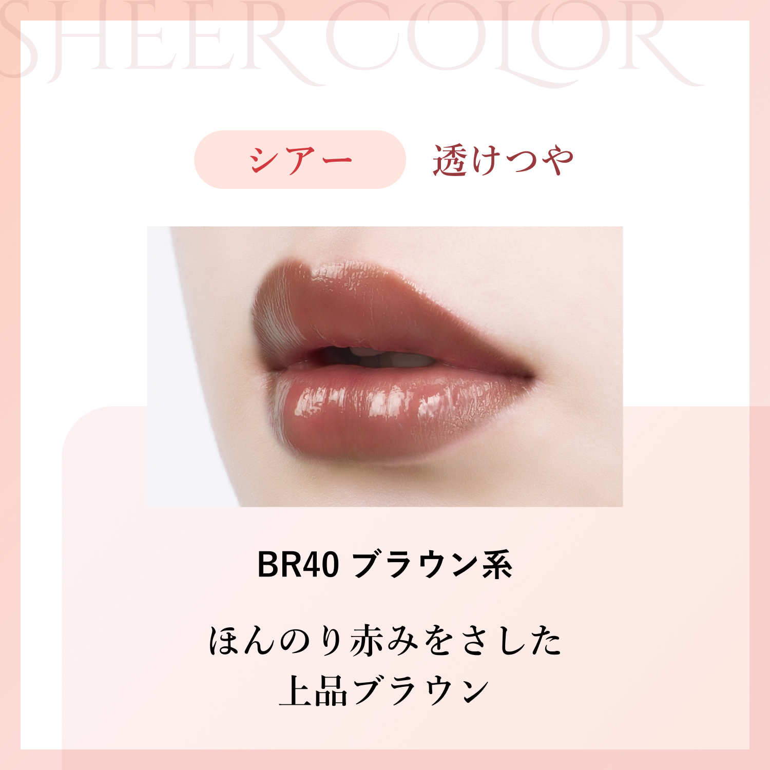 シアー BR40 ブラウン系