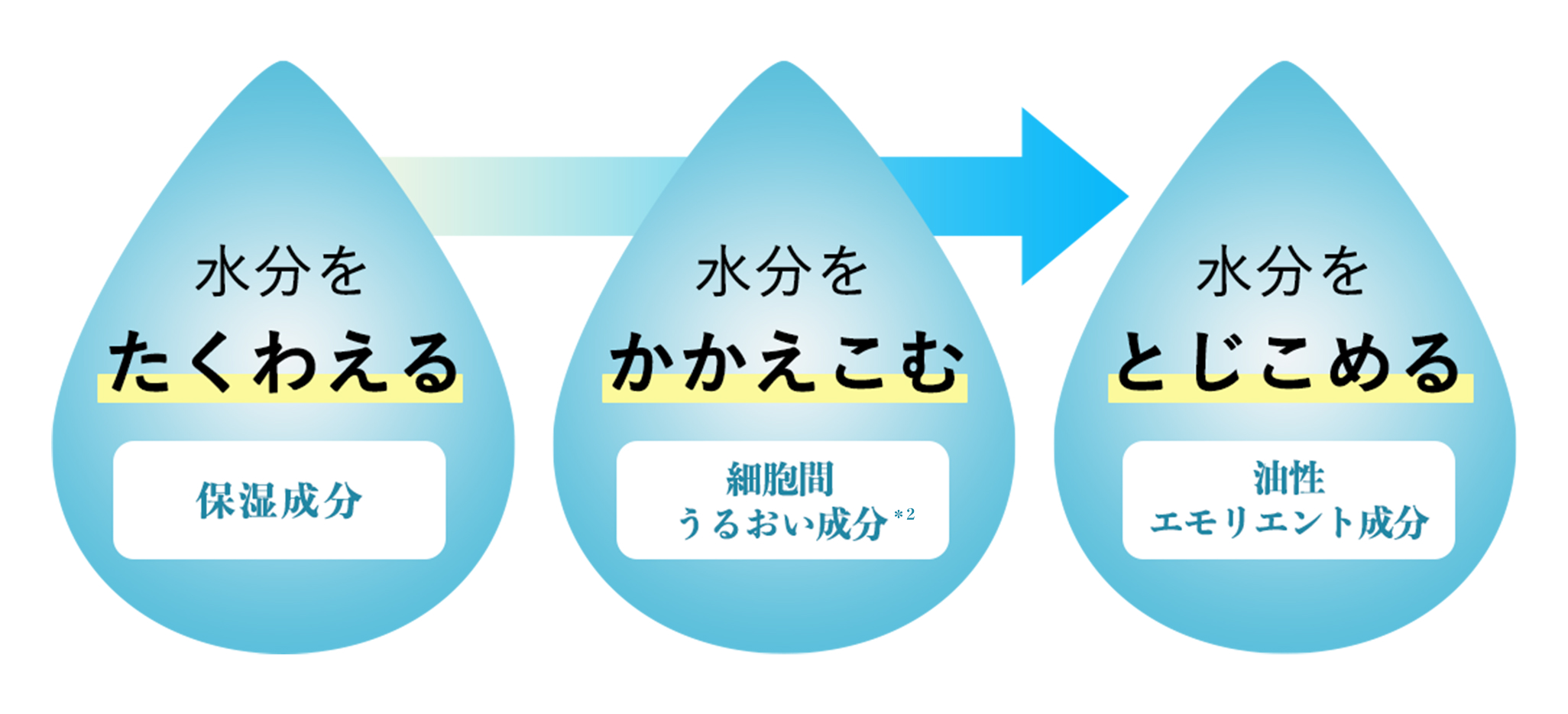My CHIFURE Onlineにてポイントプレゼントキャンペーン実施中!